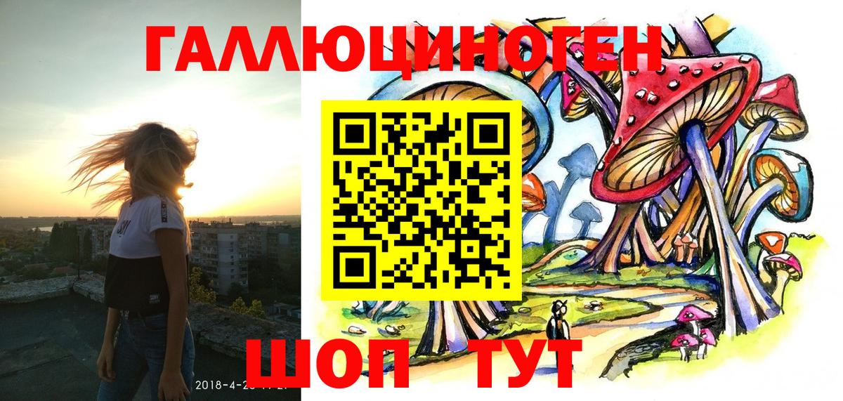 Камышин  цены наркотик  Вход с VPN  Галлюциногенные грибы GOLDEN TEACHER 