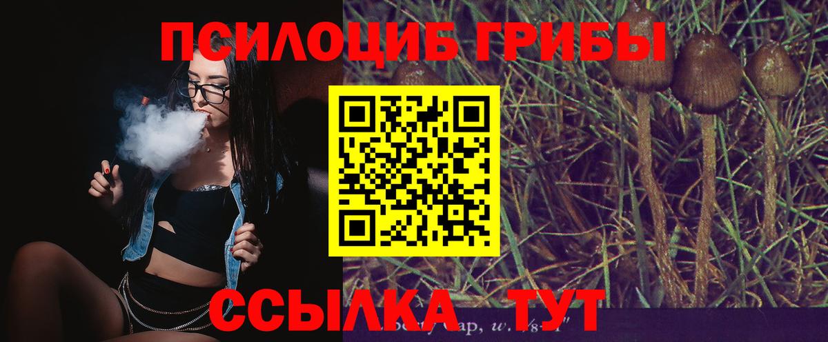Псилоцибиновые грибы MAGIC MUSHROOMS Камышин